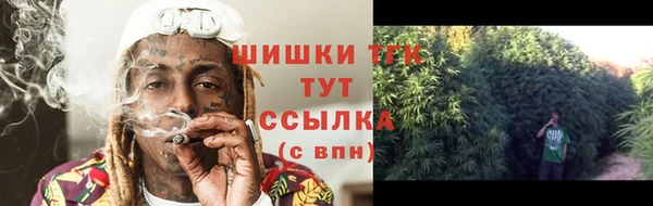 дмт Богородицк