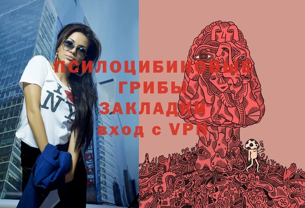 прущая мука Богородск