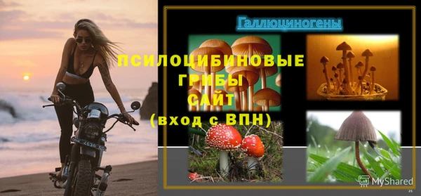 дмт Богородицк